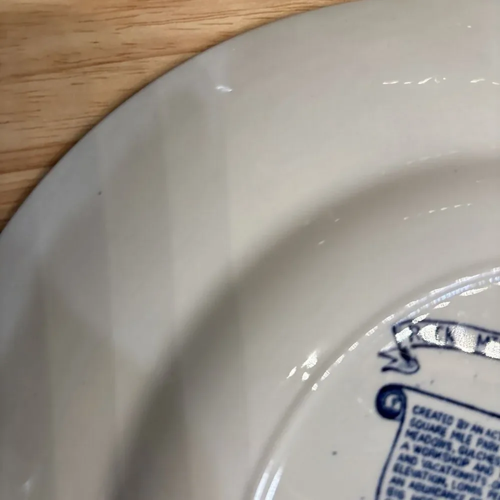 Vintage Rocky Mtn Nat’l Park Fine Straffordshire Ware Blue White Souvenir Plate